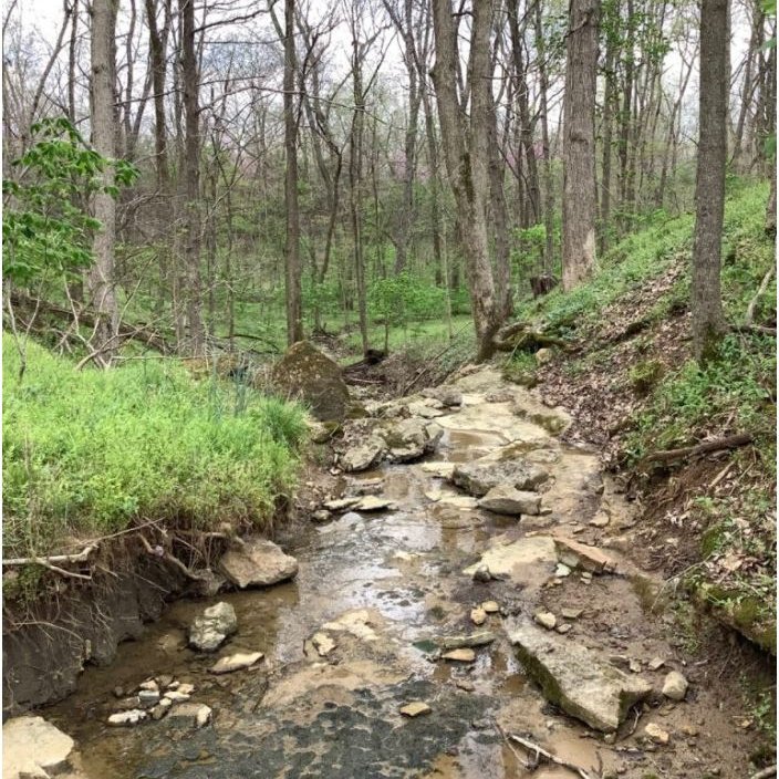 LorettoNews's tweet photo. โEcologyโ comes from the Greek โoikos,โ meaning โhouse,โ and โlogos,โ meaning โto gather.โ Ecology, then, is the story of where we live, so we can think of the whole Earth as our home. Can we live more sustainably and walk more gently?
https://t.co/4EZKLpd7ws
#MakeAllThingsNew https://t.co/SvPwIncLL0