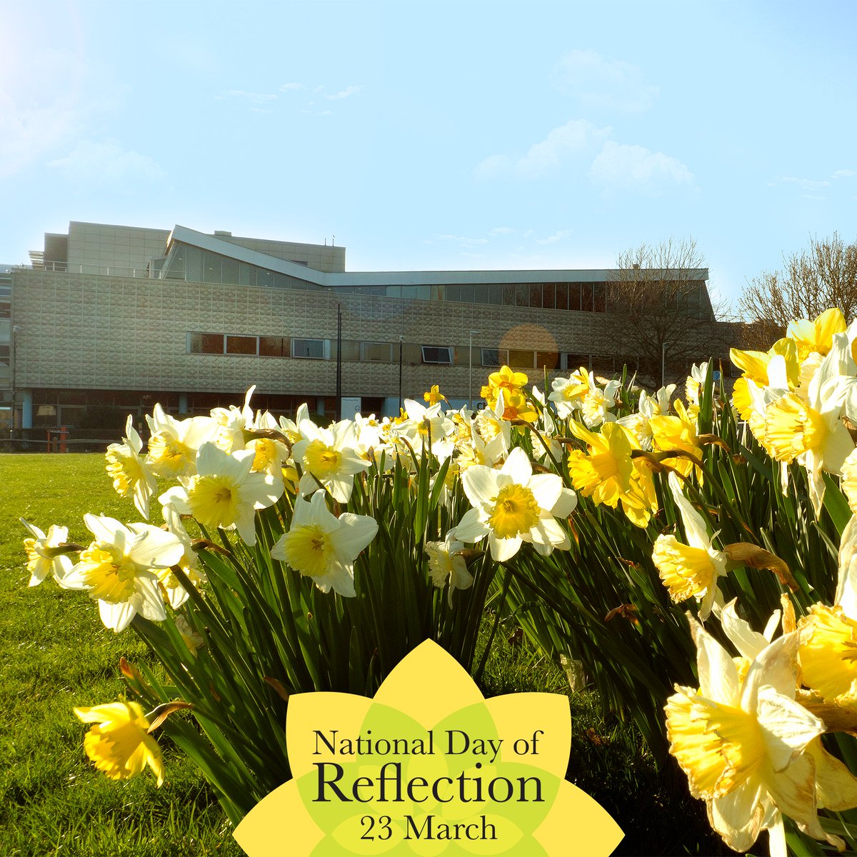 Chi_College_Int's tweet photo. Join us today, the first anniversary of the first UK lockdown, for a National Day of Reflection to reflect on our collective loss, support those who've been bereaved, and hope for a safe and brighter future. https://t.co/5PxcUUwR9K