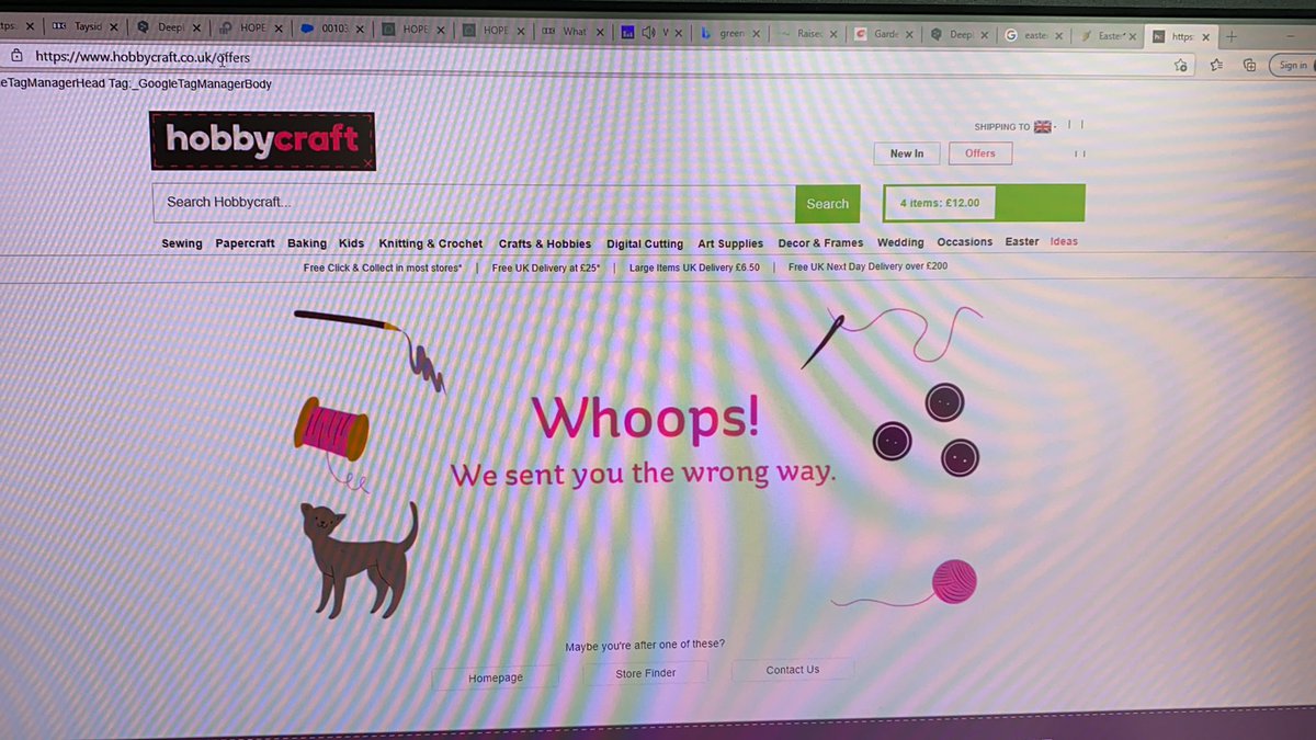 jeb1283's tweet photo. @Hobbycraft congratulations, you appear to have broken your website overnight! 🤦‍♀️ https://t.co/bpfl4QWiNf