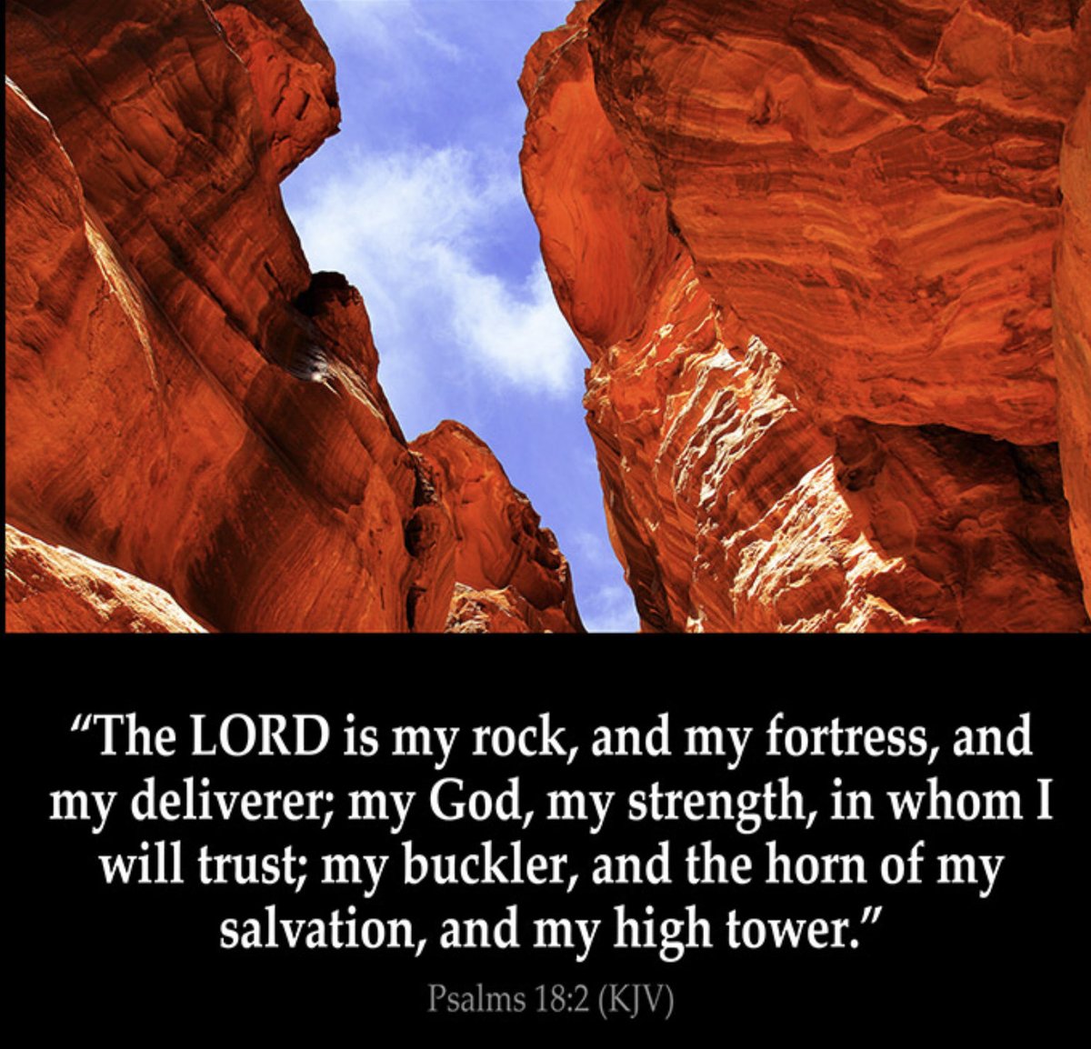 FaithDeliveran3's tweet photo. Under and Stand that the Lord is our safety, HE is our SHIELD, HE is our HIDING PLACE, the LORD is YESHUA our Deliverer and Salvation. #PraiseTheLord https://t.co/rsRLz1DQU8