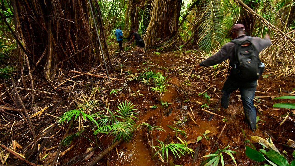 Capitals Coalition tweet media