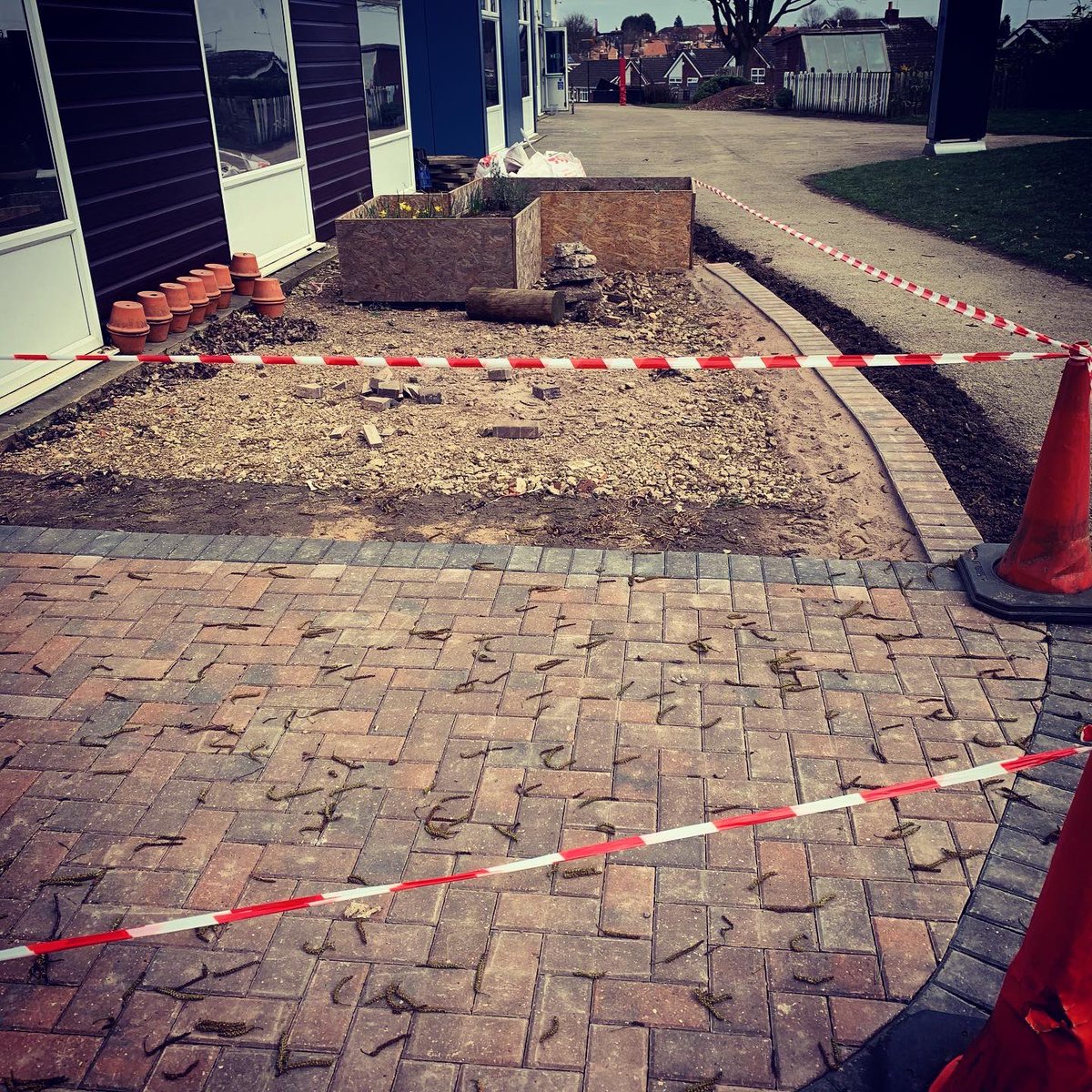 stmaryscofe's tweet photo. Our ‘Garden of Hope’ is taking shape! This week, children will begin looking at the work of artist Andy Goldsworthy as inspiration for their contributions! #journeyofhope #recoverycurriculum #theredtree https://t.co/VWIuWa4Uvy