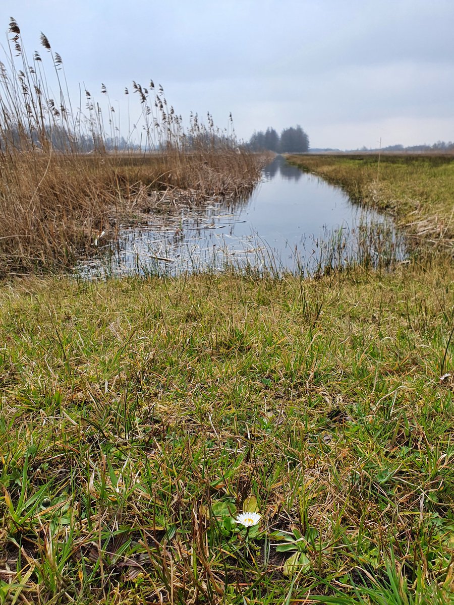 missonfire's tweet photo. @ #dewieden https://t.co/BIKbsOlFGy