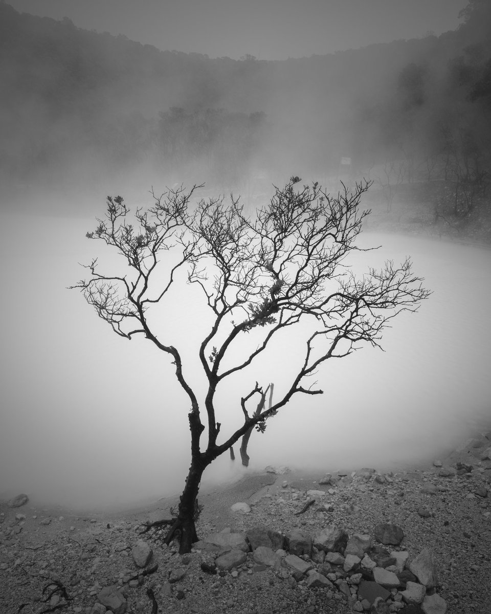 Daniel Tjongari tweet media