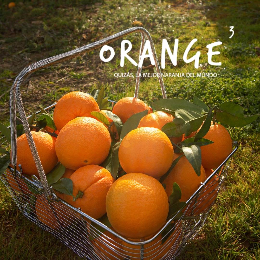 Orange3 🍊 tweet media