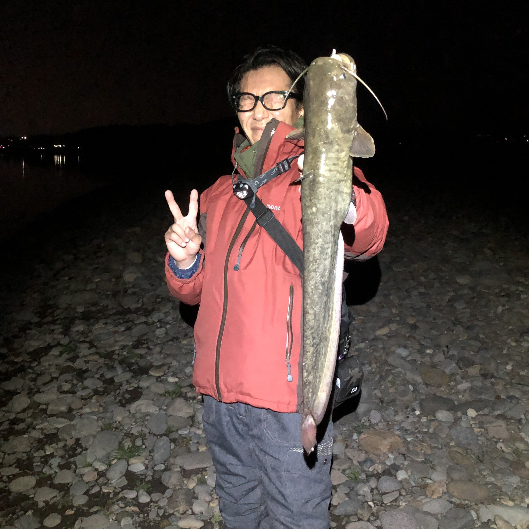 えいじ スモール釣りのゲストといえばこの方 Tulala ツララ ナマズ ナマズ釣り グリッサンド56 烏川 烏川スモール スモールマウスバス スモールマウス T Co Inkbdqewuo Twitter