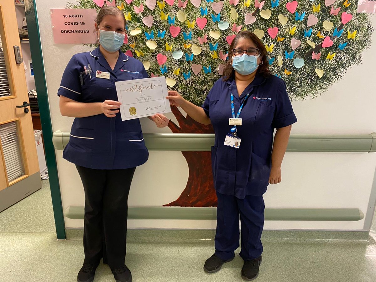 pat@wizzbut 💙 tweet media