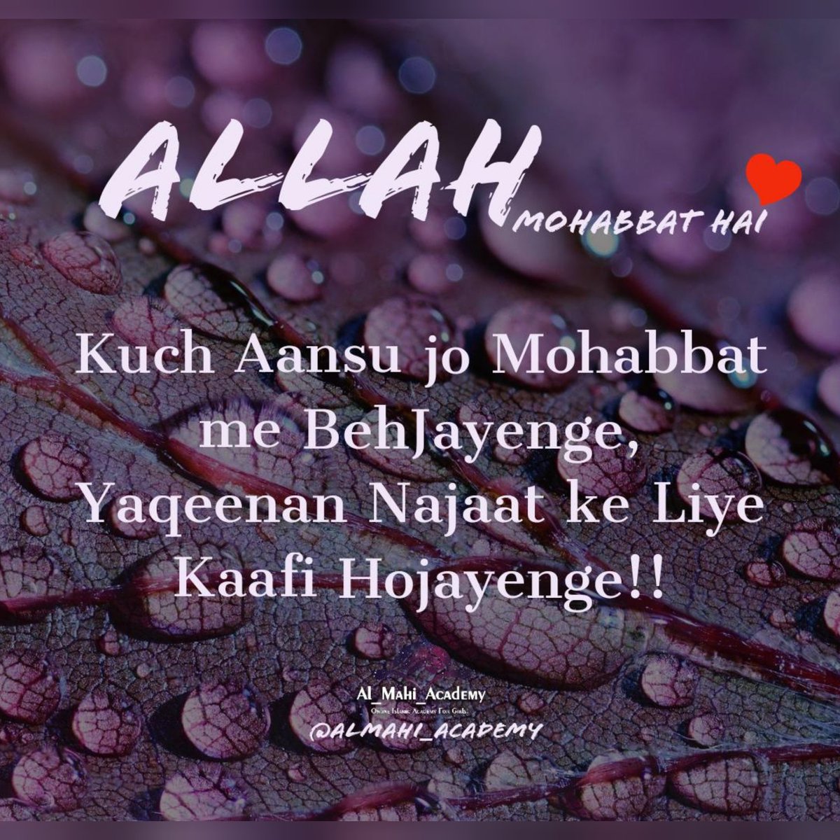 AlMahi Academy on Twitter: