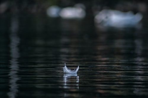 ImagoSafe's tweet photo. A minute of time to honour loved ones, friends and colleagues who have died and reflect on the challenges we have overcome. #DayOfReflection #COVID19 #COVIDVaccination #covidvacine #health #physicalhealth #mentalhealth #allhealth @imago_community #lessons #reflections #reflect https://t.co/n09sW4zbRC