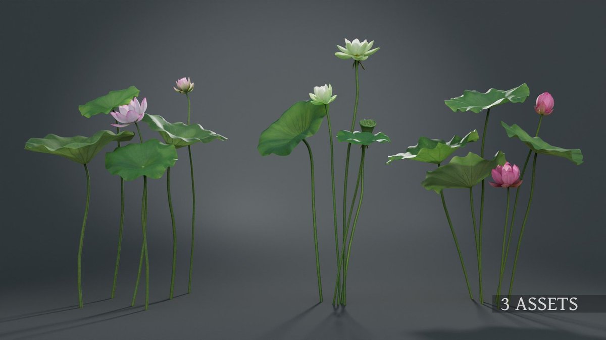 vc_caitlin's tweet photo. This is a #3D  model of a lotus flower made by #blender.

https://t.co/3KJZPW6wmz

#3d #blender #3dmodeling  #3dmodel  #blendercommunity 
#art #artwork #3dart #3dartist #digitalart #artist #realistic #Plants #Flowers https://t.co/Zkq77rL7KI