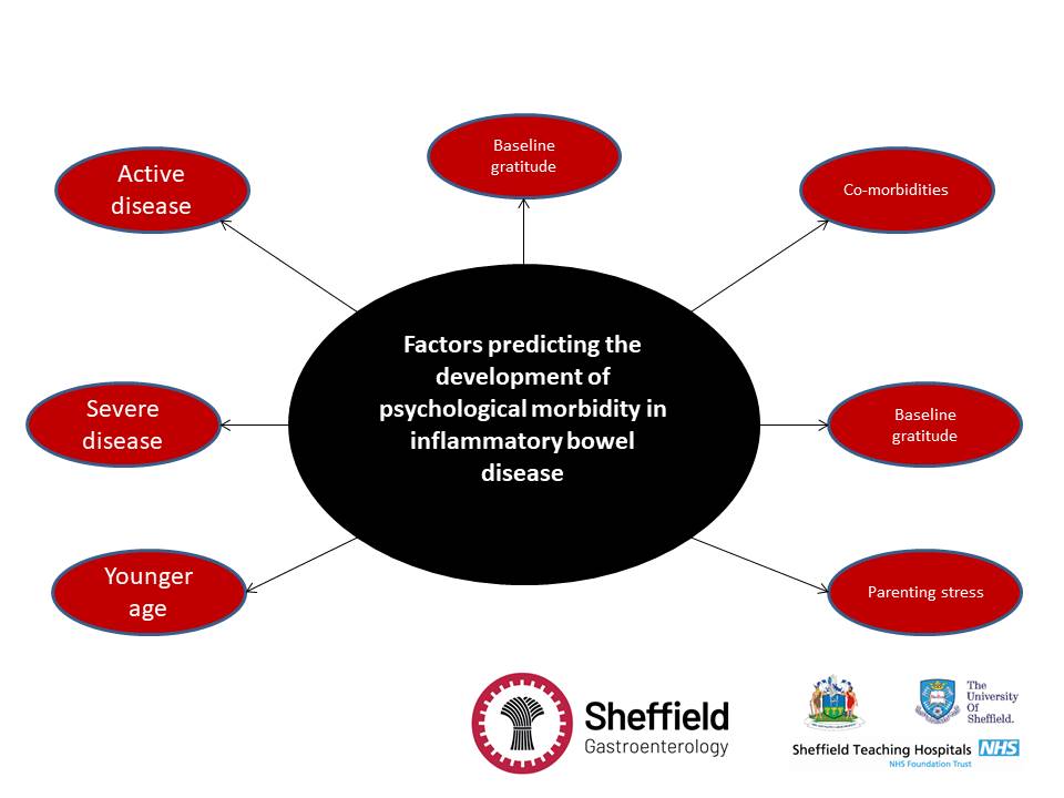 Sheffield Gastro tweet media