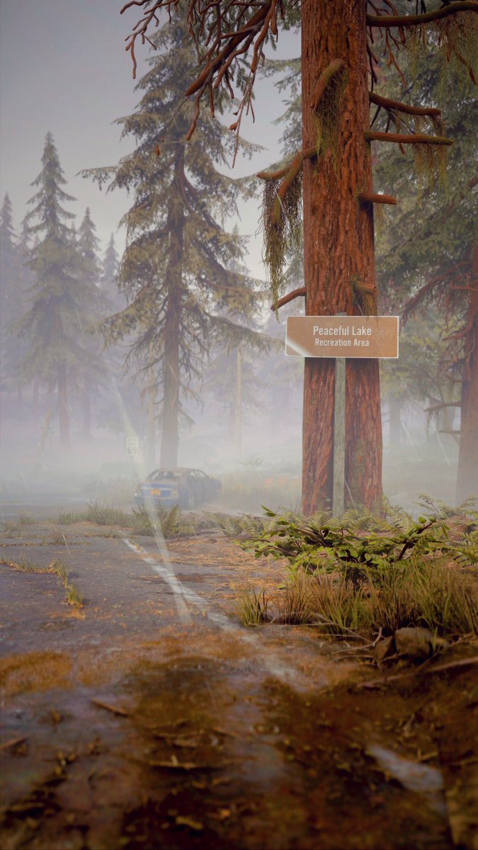 valkyrie__vp's tweet photo. Some initial first shots of #DaysGone 

An underrated photomode IMO

#vpgnetwork #virtualphotography #gamergram #worldofvp #vgpunite #thecapturedcollective #vpeclipse #artisticofsociety #photomode #ps4 https://t.co/7CNnDcWGlf