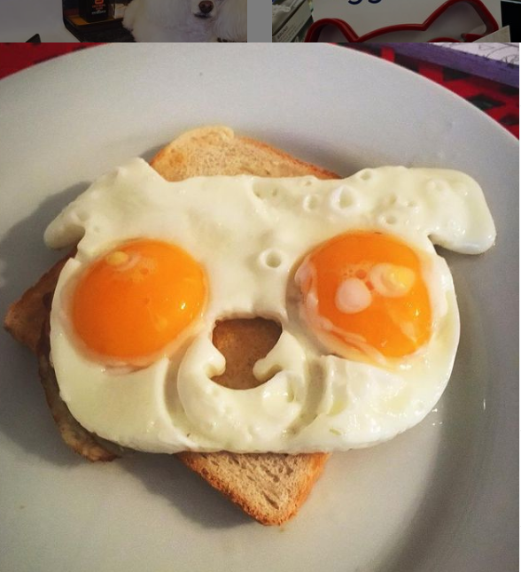 DannaBananas's tweet photo. Happy National Puppy Day!
https://t.co/epqvI0HT2J
#NationalPuppyDay2021 #NationalPuppyDay #PuppyDay #puppy #pup #pupper #dogsoftwitter #dogs #furchildren #caninebaby #caninefamilymember #eggs #egg #breakfast #siliconemold #kitchenutensils #puppyeggmold #eggmold #eggsontoast https://t.co/G49vQnUYim