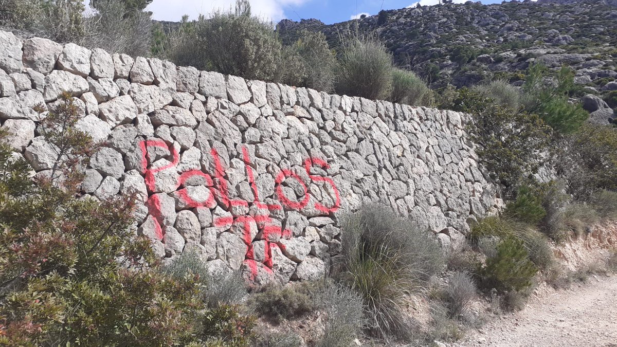 GOBMallorca's tweet photo. ❌ Avui de matí ens hem despertat amb aquesta imatge a les marjades de #LaTrapa. Ens indigna i entristeix que es tracti d'aquesta manera el patrimoni natural i cultural de la #SerradeTramuntana.

Ja hem denunciat els fets i ho hem posat en coneixement dels @AgentsMediAmbIB. https://t.co/RSebArTZHu