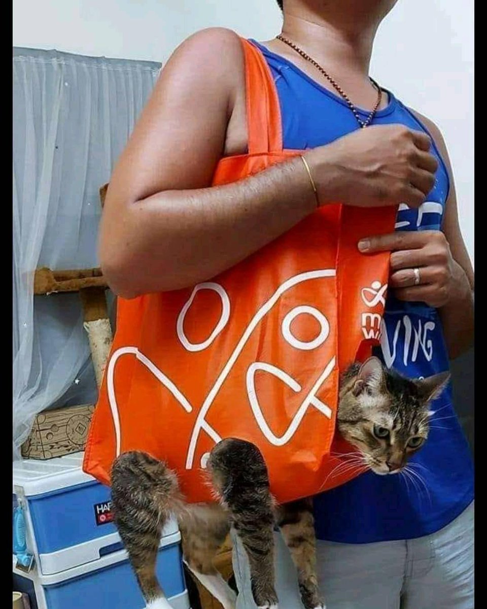 wkwkfess's tweet photo. lol https://t.co/6zxvfuBiEA