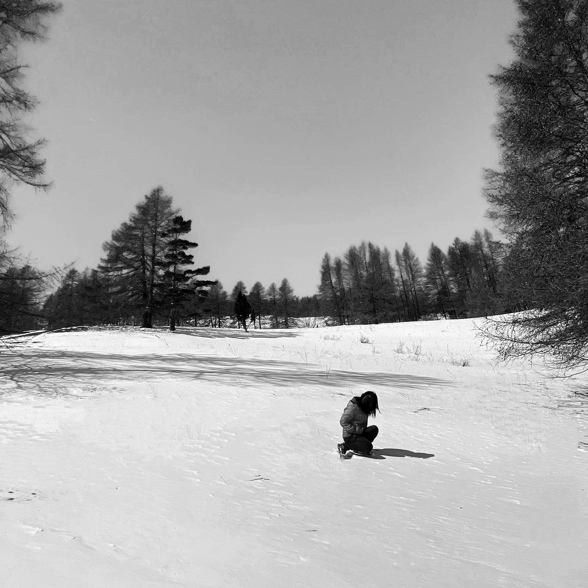 saint_exther's tweet photo. No one gossips about other people’s secret virtues.
Bertrand Russell #bnw #bnwphotography #photooftheday #photography #blancoynegro #pic #NaturePhotography #myworldview https://t.co/xIOrH1zUnX