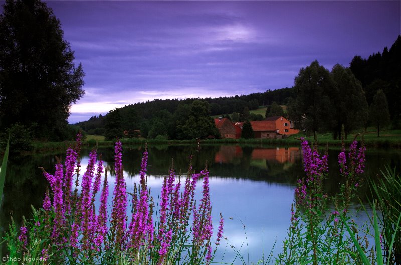 Let's make every day a #worldwaterday Let us value this most precious resource.