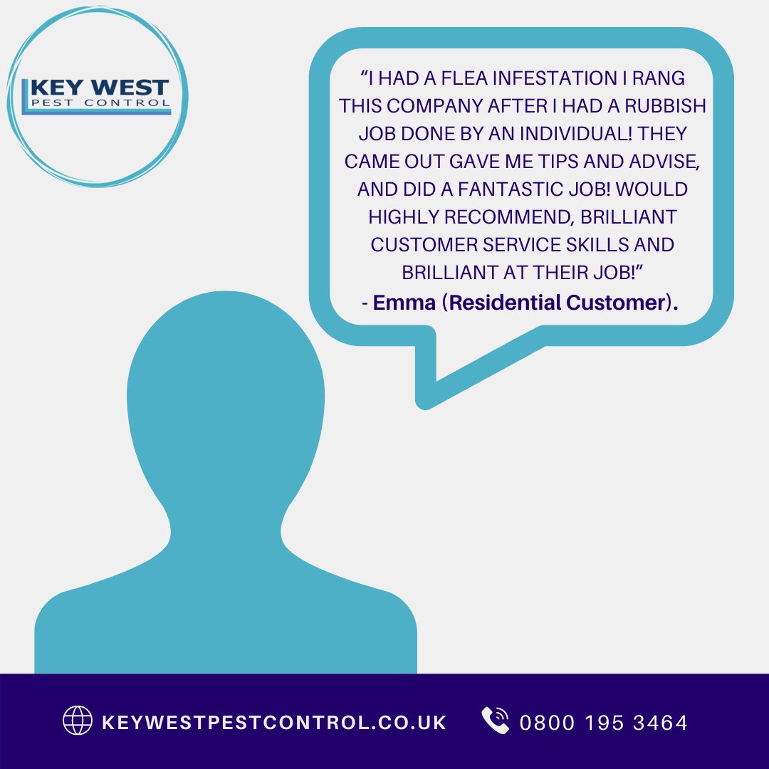KeyWestPest's tweet photo. Here's a testimonial from a happy customer whom we helped to reclaim their pest-free home! Pest? Think Key West. 0800 195 3464 https://t.co/UkEzRnAQR1 #pestcontrol #pestproblems #rodentproblem #pest https://t.co/sO1036e6fj