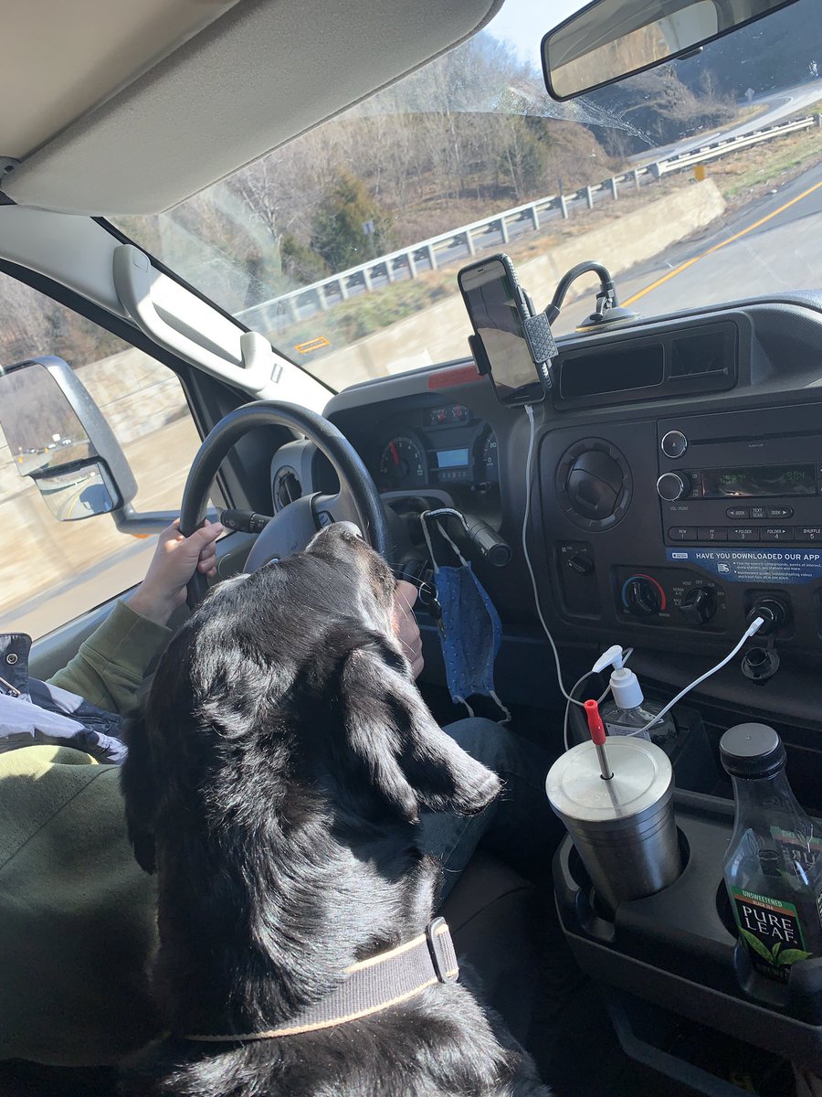 ShadowLakeDog's tweet photo. Good morning. This is me helping Dad navigate as we head for home. I really got in the swing of things in the wheely house. We didn’t have very much cell service so I’ll have to pupdate you more later about my adventures. #firstRVtrip #dogcelebration https://t.co/lHmjXjd5mT