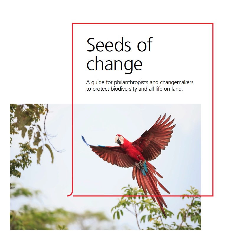 Felicitas von Peter tweet media