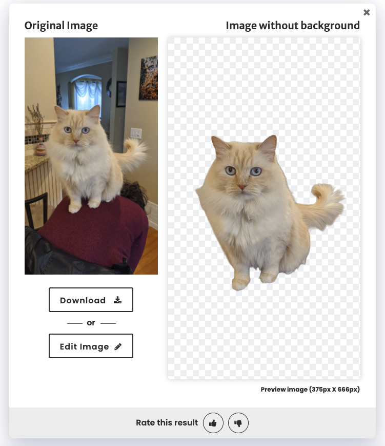 edtechwithlisa's tweet photo. I just learned about @slazzerCom from @WeGotTechED
Easily remove image backgrounds!
A cameo from my cat 😻 https://t.co/U9cYDA4IB4
#njecc21 #metech21 #googlePD #AppsEvents https://t.co/bJ9ll1pKAZ