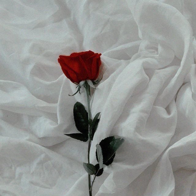 m tweet media