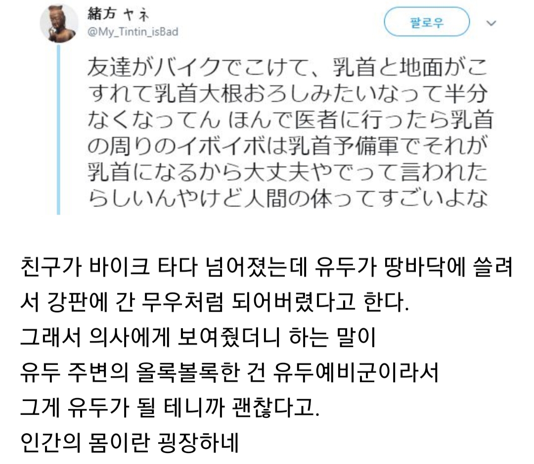 대환장 갤러리 on Twitter: 대환장 갤러리 On Twitter: