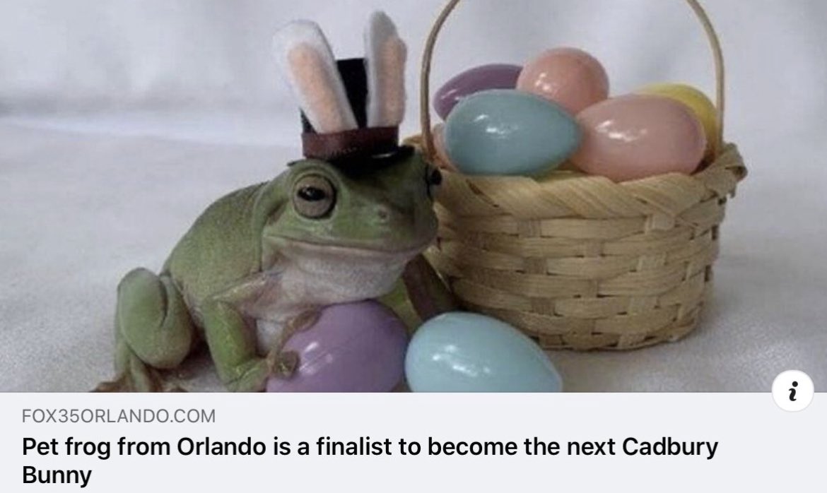 WholesomeMeme's tweet photo. https://t.co/eCybwTxuXp