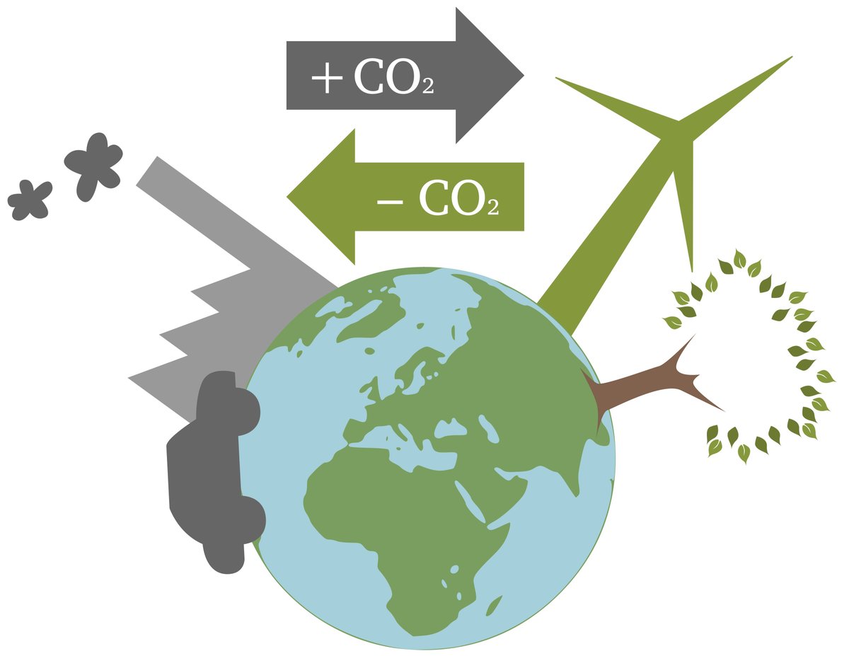 In order for farming to achieve net zero by 2040 we need to capture more carbon, what are the options? Read more in our Soil Carbon report 🧩 Click the link - bit.ly/3e5It7d 

#soils #carbon #grasslandsoils #defrasoils #climatechange #farming #soilorganiccarbon