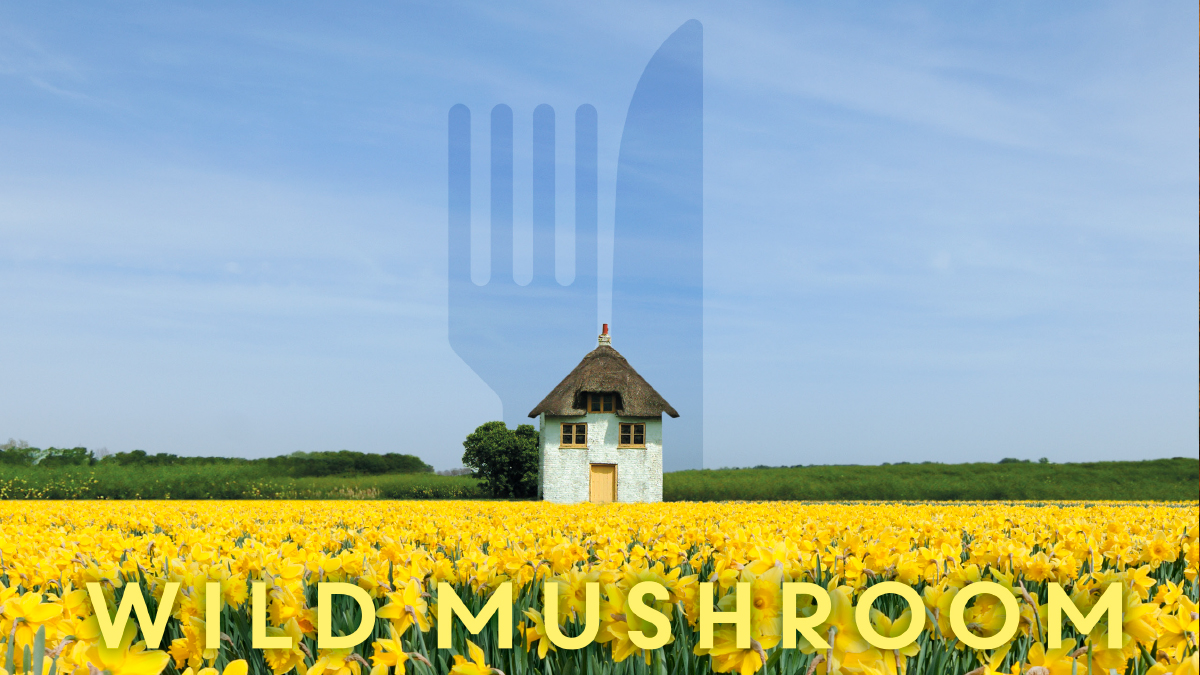 #Hellosunshine..let's put a #spring in our step and order from <a href="/Webbes_Mushroom/">The Wild Mushroom</a> this #weekend. It will make you feel #bloomin lovely. All #menu &amp; ordering details are on our website @Visit1066 <a href="/1066Tweets/">1066 Tweets</a> #SpringTime #springisintheair