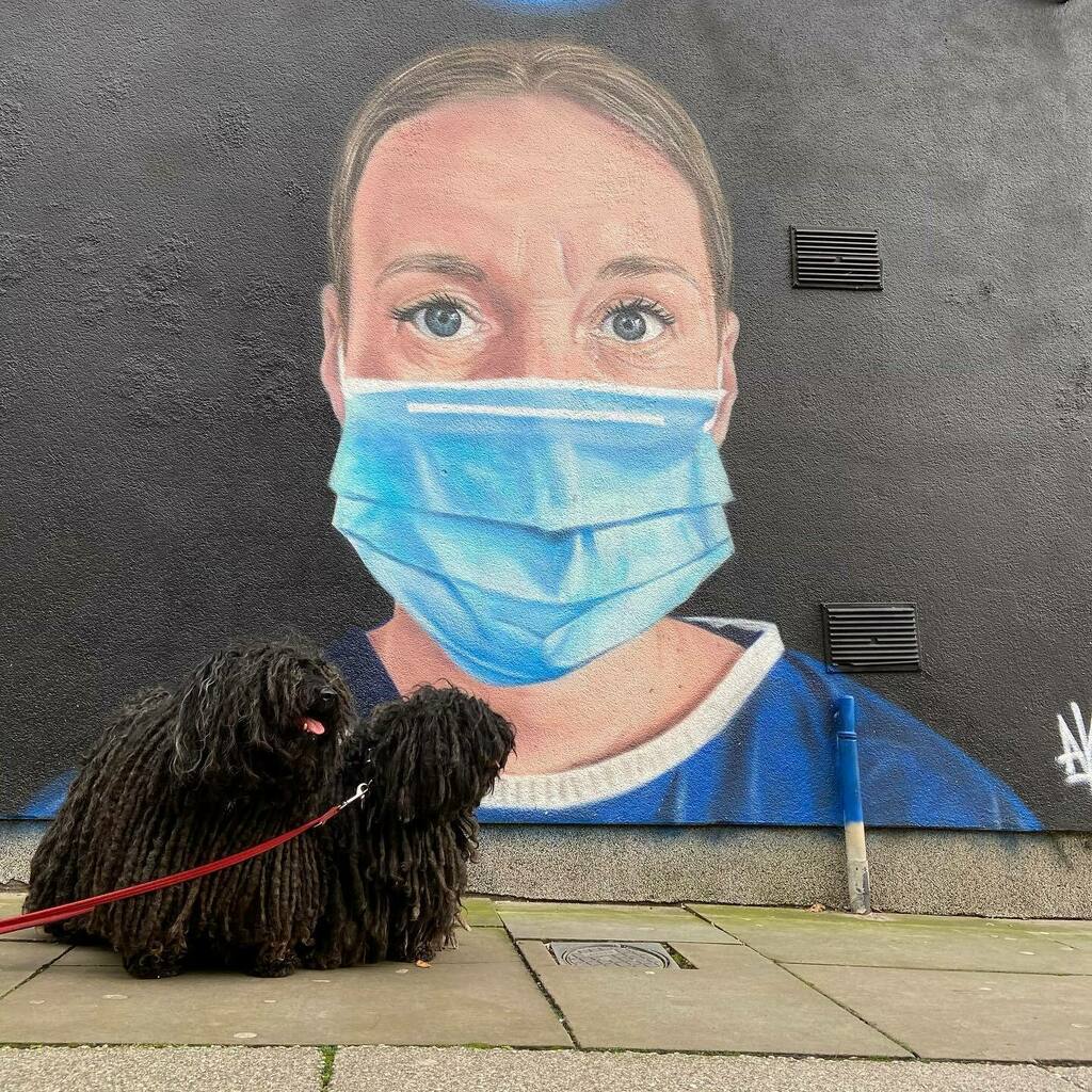 ZebPuliZeb's tweet photo. One year ago today, @ukgovofficial announced that the UK would go into a national lockdown.
Thanks to @nhsengland for all the have done, and continue to do
#DayOfReflection
Day 364 of #SocialDistancingMops
🐾❤️🐾
🖼 by @akse_p19
📷 by @quorduroy … https://t.co/UlDwpQ9ioF https://t.co/jEl3q0cyll