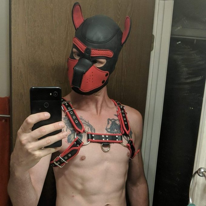 Happy National Puppy Day!  @VixxyPup @BlondiWuff @PupEnoch @PupZed @StonerDogGF @PupSpectre And all the<a class="tags" target="_blank" title="On Twitter" href="/?out=eyJ0eXAiOiJKV1QiLCJhbGciOiJIUzUxMiJ9.eyJpYXQiOjE3MjEwOTY1MzgsImlzcyI6InR3cG9ybnN0YXJzLmNvbSIsIm5iZiI6MTcyMTA5NjUzOCwiZXhwIjoxNzUyNjMyNTM4LCJyZWRpcmVjdF91cmwiOiJodHRwczovL3R3aXR0ZXIuY29tL1ZpeHh5UHVwIn0.bFZyYqdUPa7UHznx8qoO8fUwyR4-iDJ_zk0w5O1acnlgGWdooeYMeqWXpVB1R8ChyXzlOqHwPbu_RH71572jQA">@VixxyPup</a><a class="tags" target="_blank" title="On Twitter" href="/?out=eyJ0eXAiOiJKV1QiLCJhbGciOiJIUzUxMiJ9.eyJpYXQiOjE3MjEwOTY1MzgsImlzcyI6InR3cG9ybnN0YXJzLmNvbSIsIm5iZiI6MTcyMTA5NjUzOCwiZXhwIjoxNzUyNjMyNTM4LCJyZWRpcmVjdF91cmwiOiJodHRwczovL3R3aXR0ZXIuY29tL0Jsb25kaVd1ZmYifQ.QwBJxYMKnrWdw8lfsrV8Gp49xSprN4NNt27cEhW39h6n-vwDRYbLBIoqWOD5bGnwU9eS9j2NyvU9z-3JQgojAg">@BlondiWuff</a>