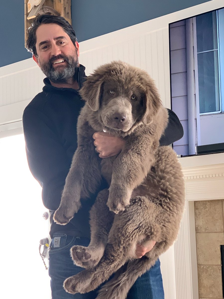 Brett L. Tolman tweet media