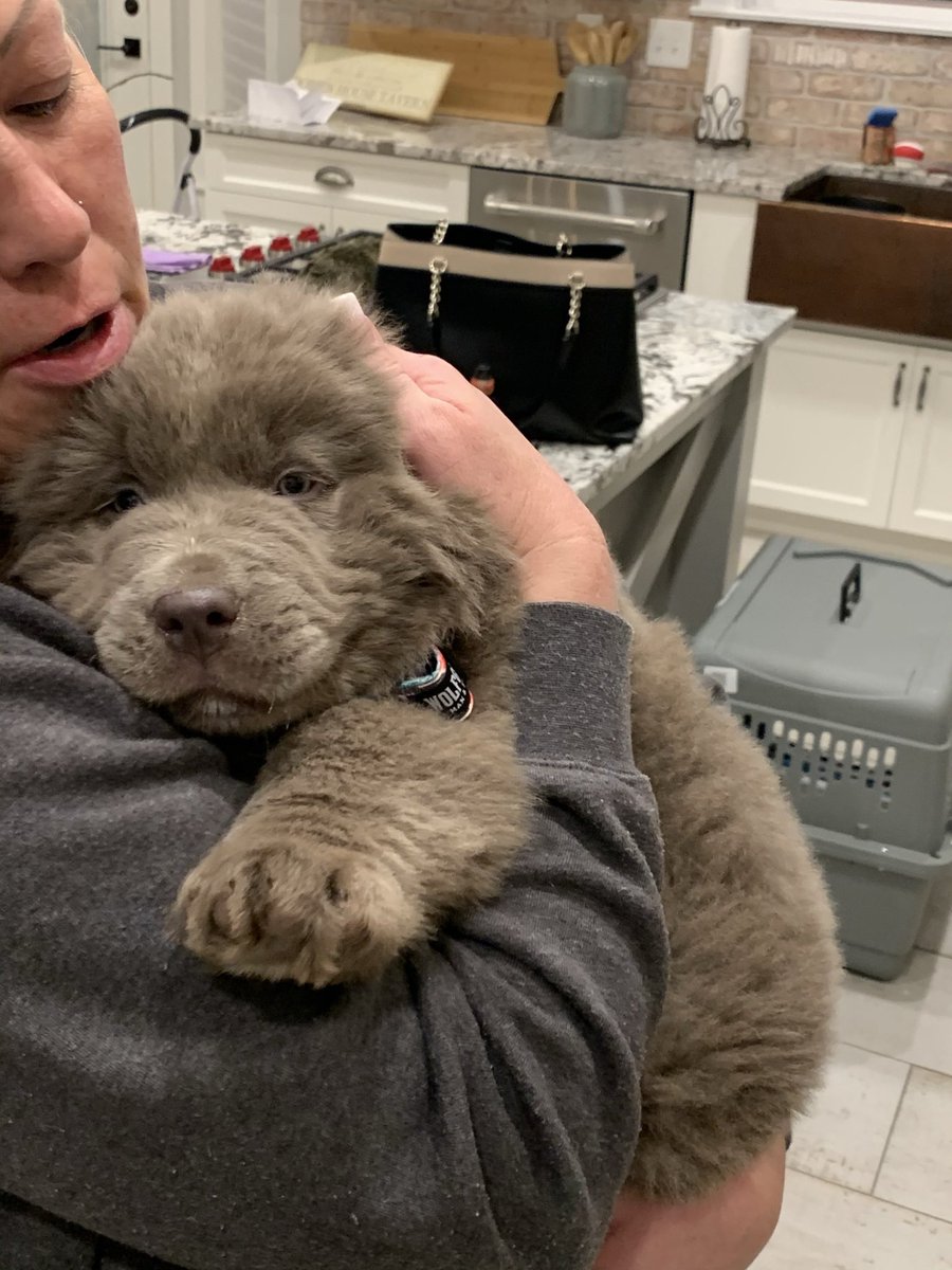 Brett L. Tolman tweet media