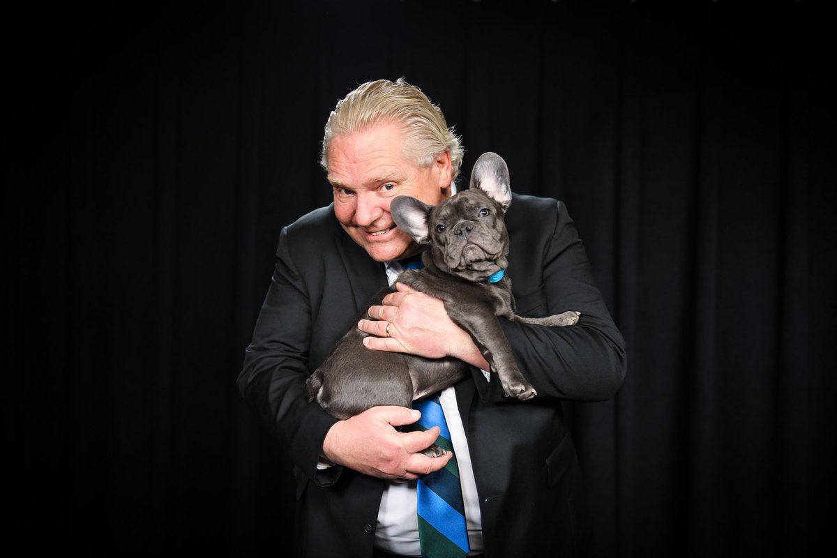 fordnation's tweet photo. Happy #PuppyDay Ontario!

As you might know, I’ve always been an animal lover. If you’re thinking about adding a dog to your family, please consider adopting a rescue, because all dogs deserve to have a loving home. https://t.co/wcYDHutKnG