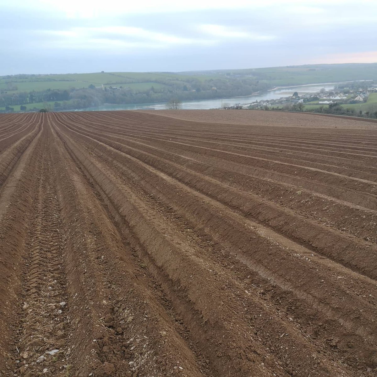 GriffinsPotato1's tweet photo. Planting 2021 has started. Queens are now planted and snug in the ground until harvesting in July! Will update with more over the coming months. Lucky to have the gorgeous views too! #griffinspotatoes #queens #local #healthy #planting2021 https://t.co/h0aflyvbKe