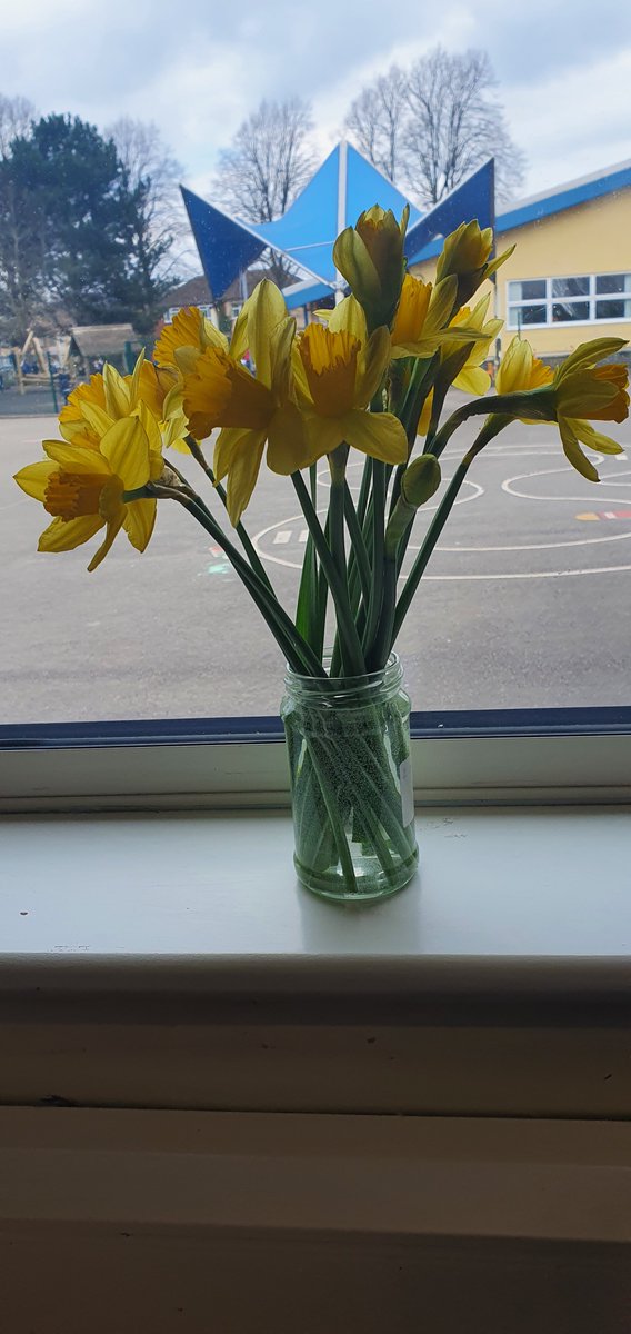 BegbrookAcademy's tweet photo. Spring daffodils brought into 5RH today to brighten the classroom and bring some joy #rubypower #thoughtful https://t.co/gA3pKoHAs5