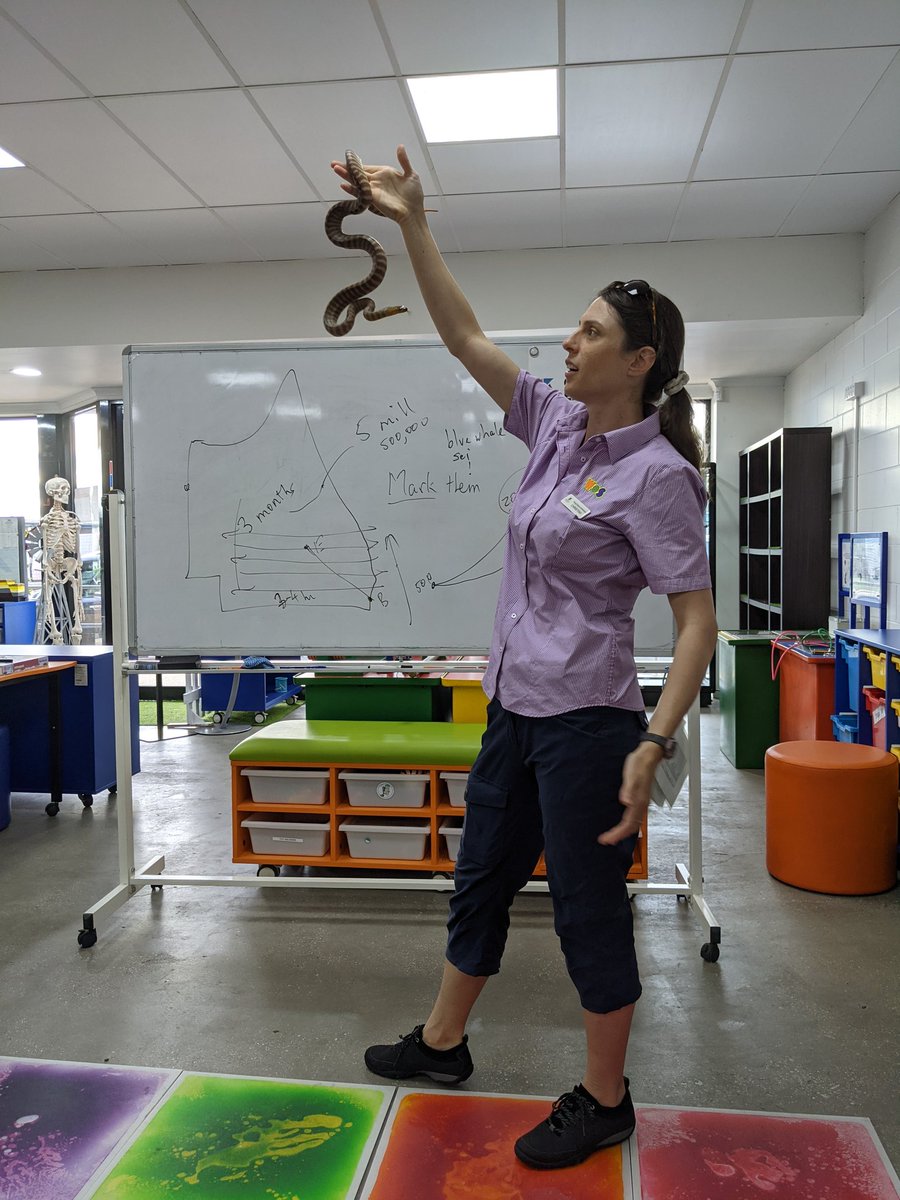 sabasinai's tweet photo. Great to have the QLD Chief Scientist Prof @HugePossum and ecologist @CNZdenek visit us in Emerald. Chief Scientist spoke to some of the Science Squad kids participating in our @CQUni &amp; @outbackxp4720 "Parasites in the Wild" citizen science project, supported by office of CS. https://t.co/UzKpz0gvyI
