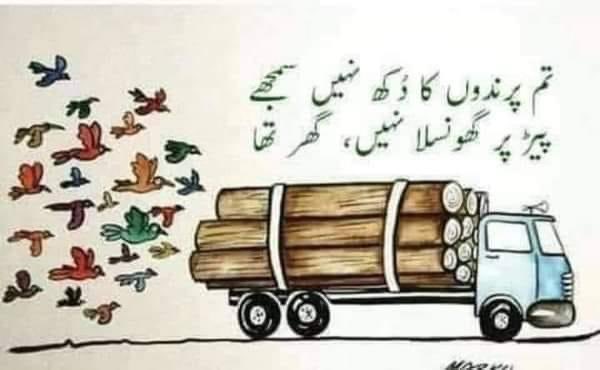humayun204's tweet photo. @GFarooqi https://t.co/IniWTETBcq