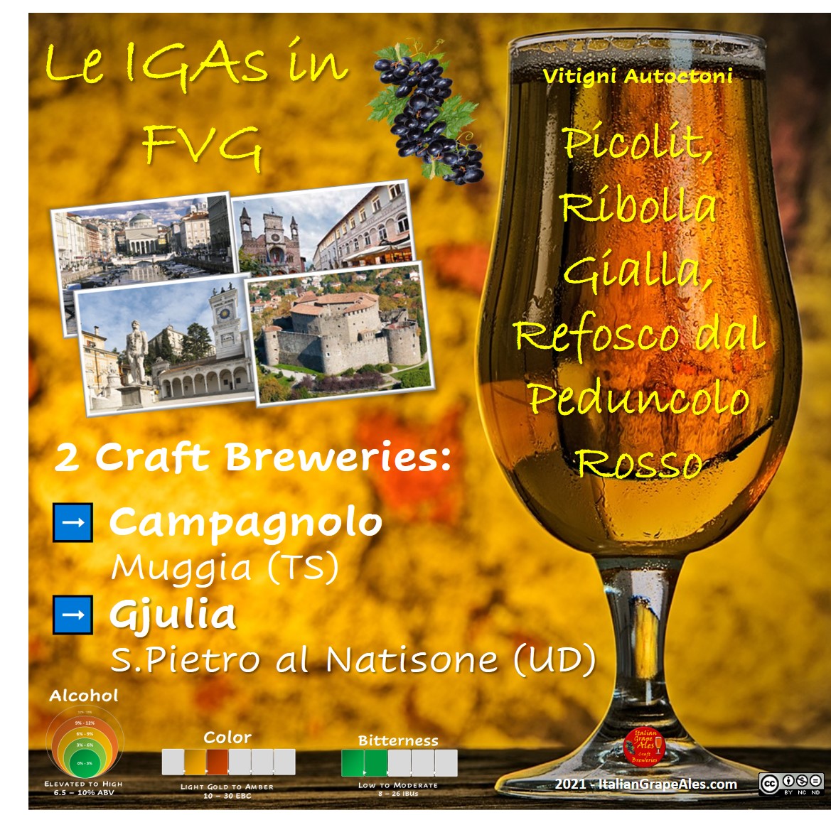 2 #craftbreweries produce #IGAs in #FriuliVeneziaGiulia, using 3 local grape varieties : #picolit, #ribolla gialla and #refosco dal peduncolo rosso. 🍇 <a href="/GjuliaBirra/">Birra Gjulia</a> #Italiangrapeale #craftbeer #SlowFoodItaly #igasurvey2021 #horeca #brewpub #beer #bier #biere #beersommelier #chef