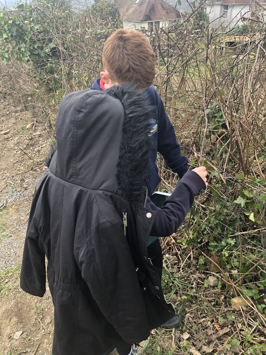 Hendrefoilan's tweet photo. Looking for angles in the outside environment #hdfpy5 #hdfpnum https://t.co/nd1o7pVMBx