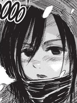 hourly mikasa tweet media
