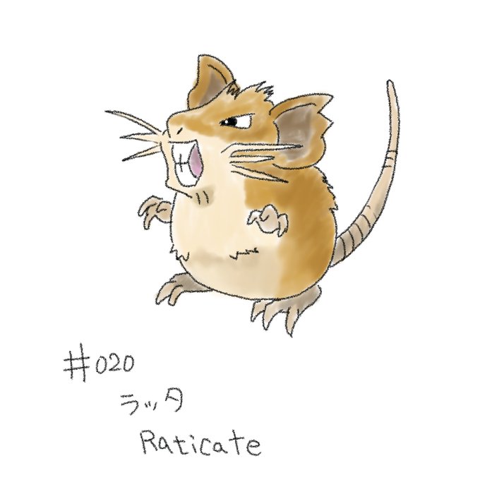 ラッタのtwitterイラスト検索結果 ラッタのtwitterイラスト検索結果