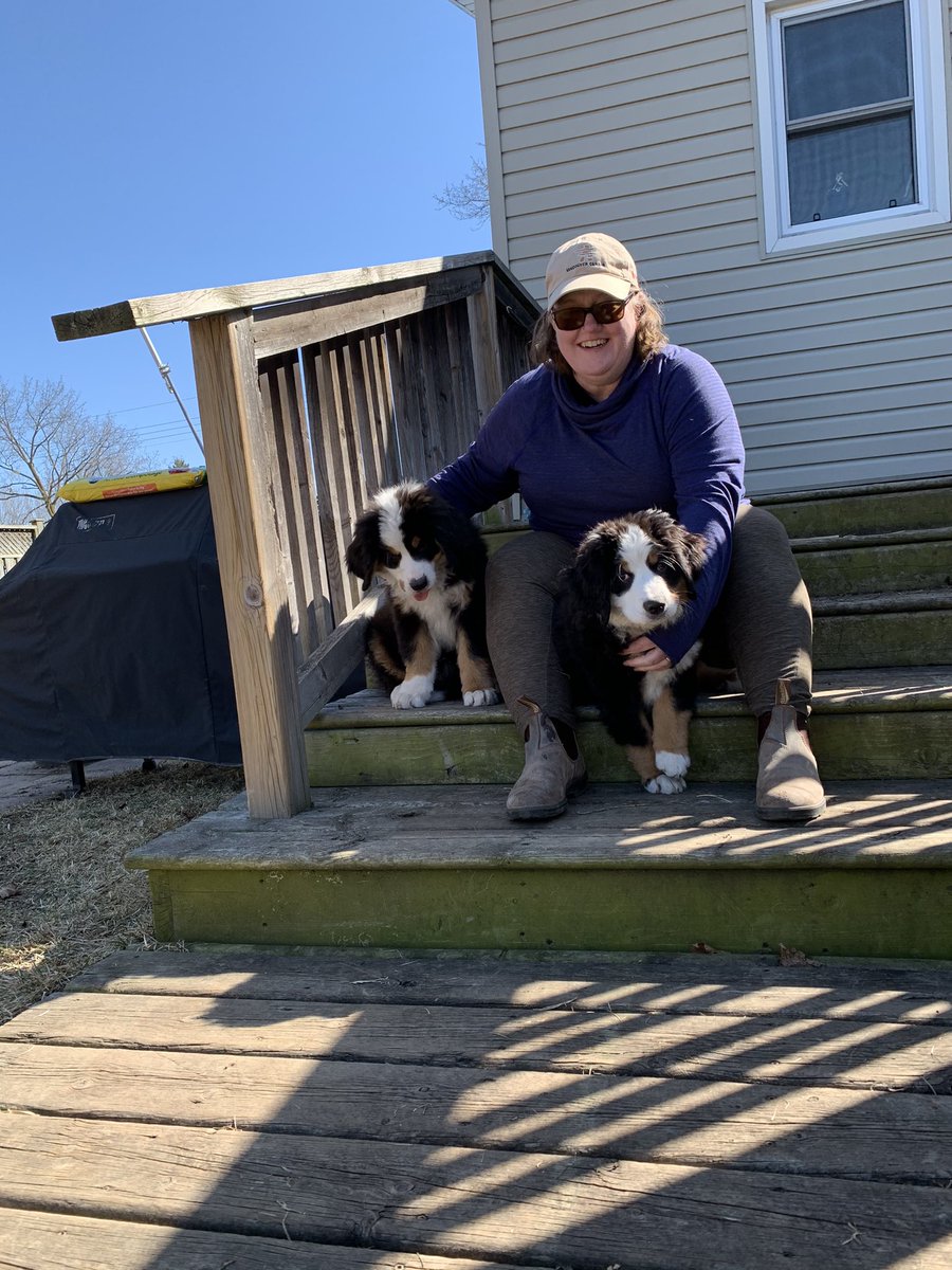 MichaelADurrant's tweet photo. Happy puppy day from Miss Money Penny and Charlie Brown

📷 @MichaelADurrant

#puppyday #puppyday2021 #bmd https://t.co/19kjZtA0Fc