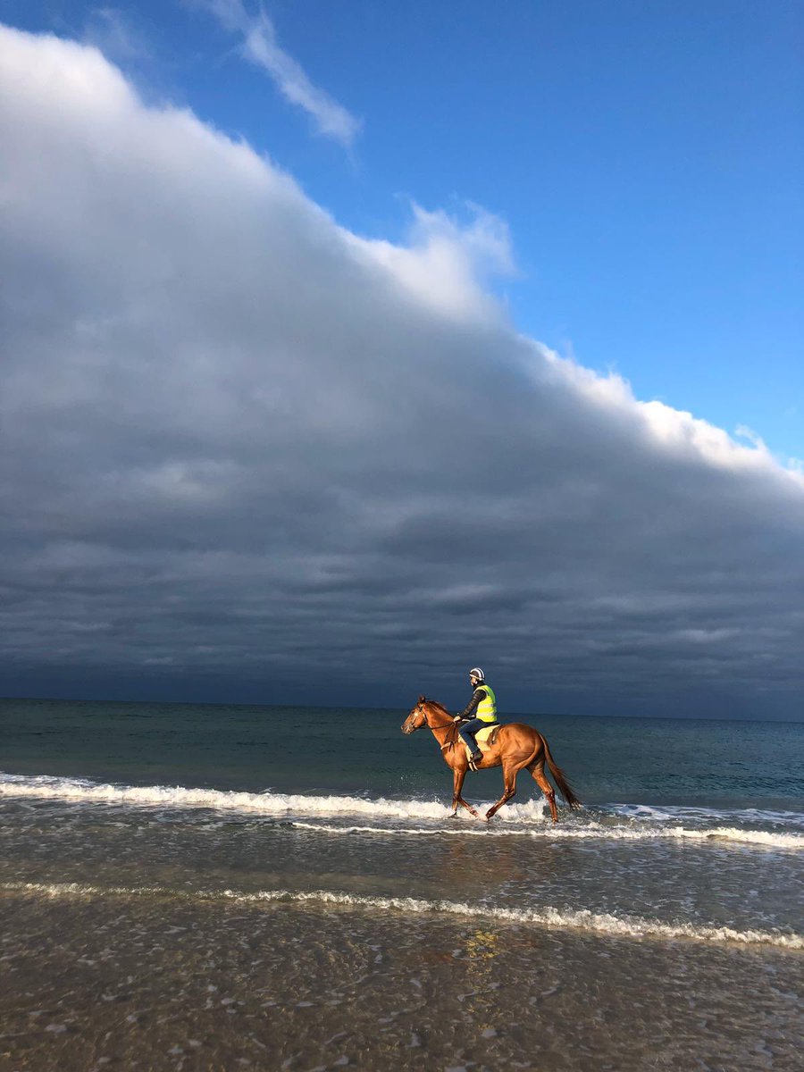 DalasanOfficial's tweet photo. The rain may have ended but the storm is about to begin 🌧🏇💨@millparkstud @MacdonaldRacing @SAbreeders @Racing #georgeryderstakes https://t.co/tDgHzo3aIT