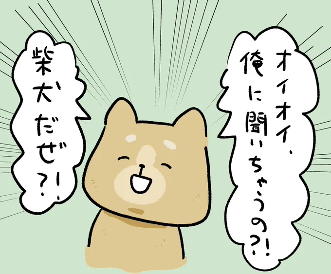 そうだ!柴犬に聞いてみよう! 