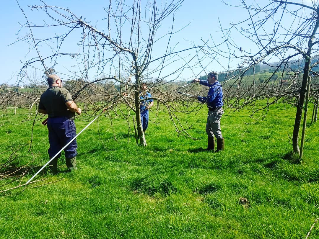 EMBrutnature's tweet photo. Seguimos trabajando en los últimos días de la #podadeinvierno una de las labores más importantes dentro de la #Pomarada por su impacto en desarrollo de nuestros #Pomares 🍎🍏
La #poda ✂️de #invierno en nuestra #fincaSanJusto #mejorPomarada2015/16/17/18 🍎🍏🍏 https://t.co/2D8aTULkLi