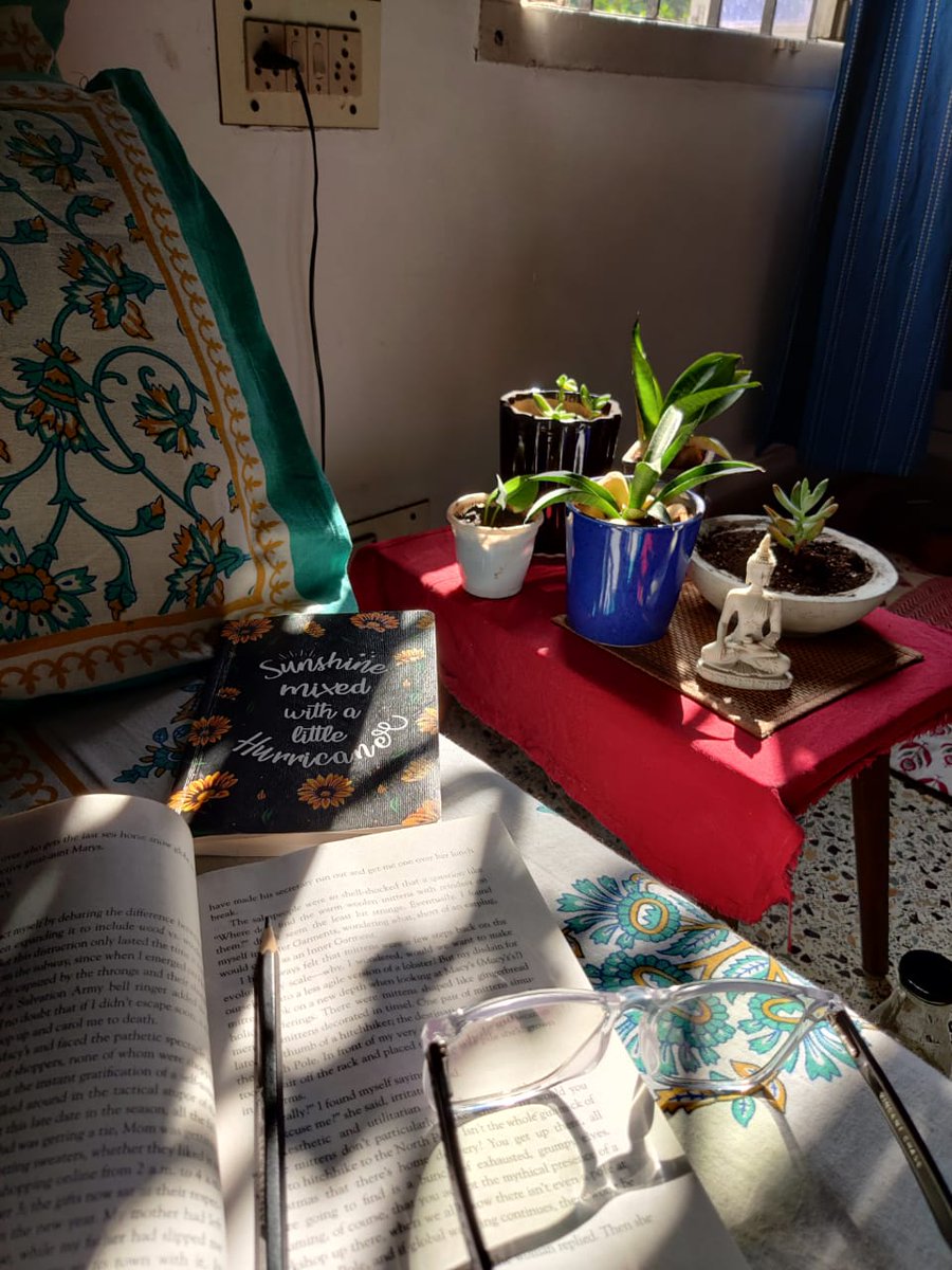 _ayushi27's tweet photo. Sunbath 🌿🌿🌿 https://t.co/nSBpoYI0IX
