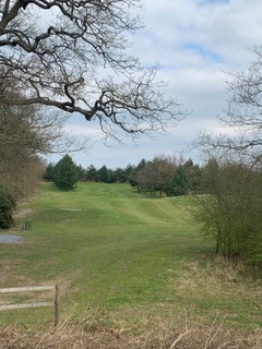 Ledene Golf tweet media