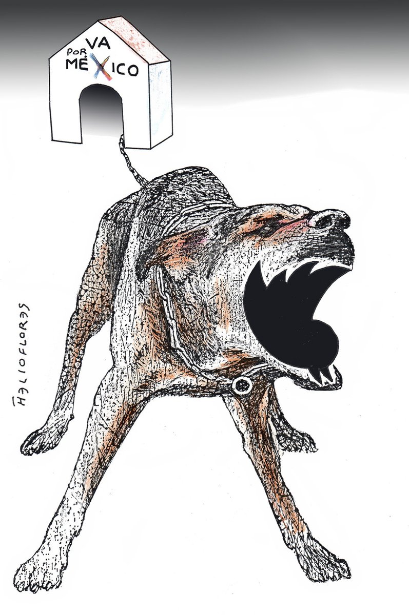 Helioflores_mex's tweet photo. CUIDADO CON EL PERRO! https://t.co/qM0m5dwfSM